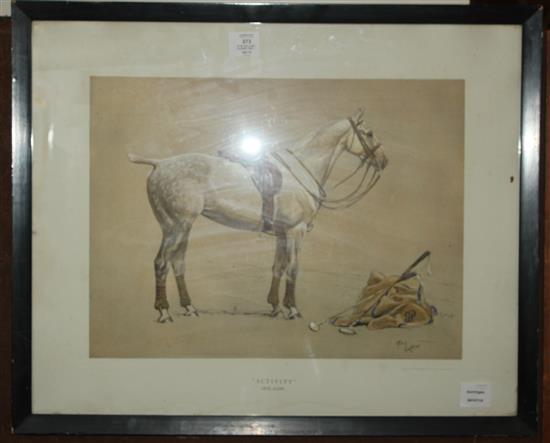 After Cecil Aldin, coloured print, Activity (a grey polo pony)(-)